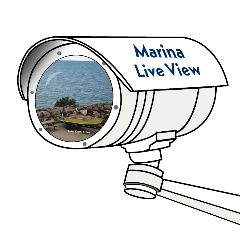 Line icon camera with image of Lake St. Clair in lens. Camera reads "Marina Live View".