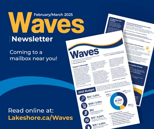 February/March 2025 Waves